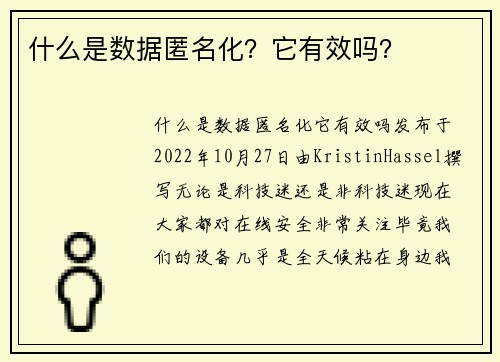 什么是数据匿名化？它有效吗？